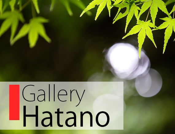 メインビジュアル枯山水